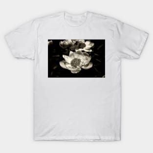 Peony On Display T-Shirt